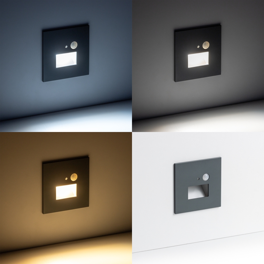 LED Staircase light with a motion sensor LED/1,5W/230V 3000K/4000K/6500K