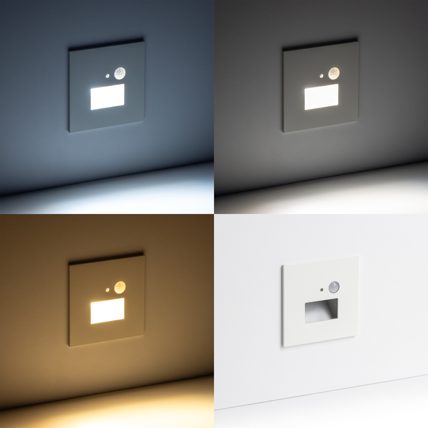 LED staircase light with motion and dusk sensor LED/1,5W/230V 3000/4000/6000K white