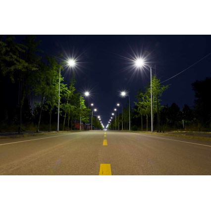 LED Street lamp BOSTON LED/35W/230V IP65