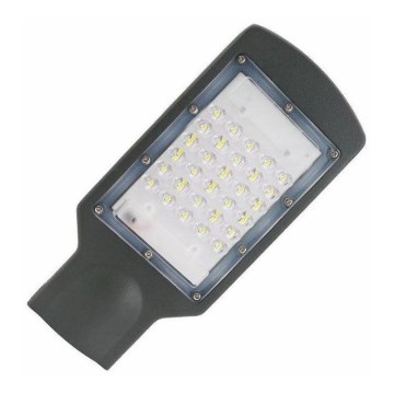 LED Street lamp LED/30W/170-400V IP65