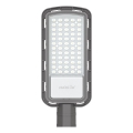 LED Street lamp LED/50W/230V 6500K IP65 grey