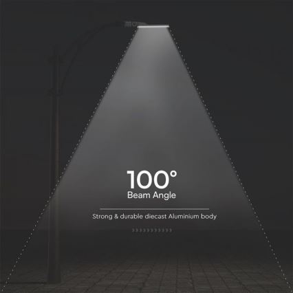 LED Street lamp SAMSUNG CHIP LED/100W/230V 6500K IP65