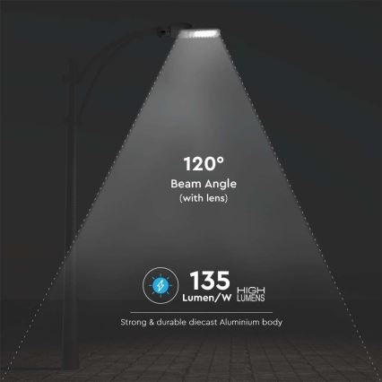 LED Street lamp SAMSUNG CHIP LED/50W/230V 6500K grey