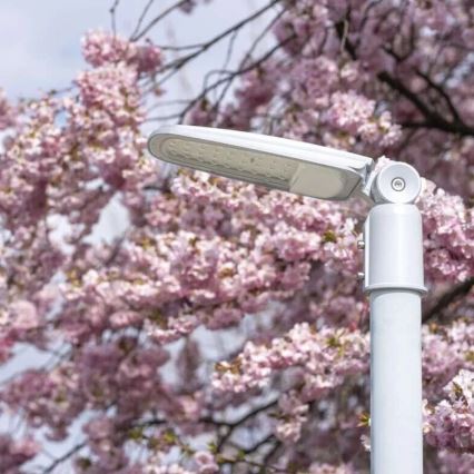 LED Street lamp SOLIS LED/30W/230V 4000K IP65