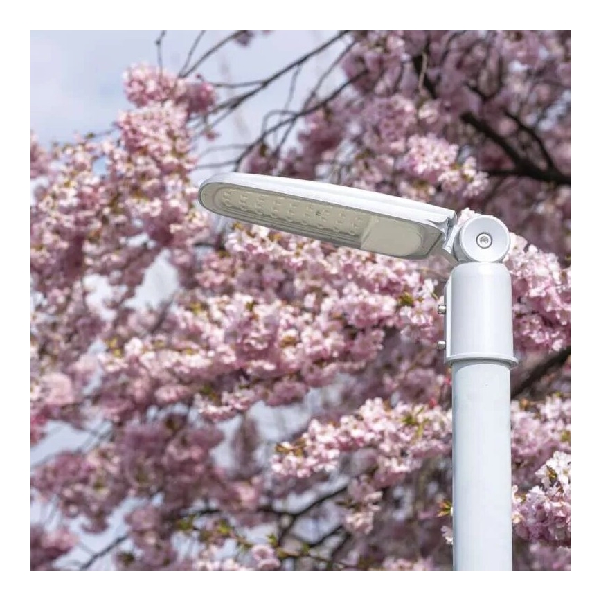 LED Street lamp SOLIS LED/30W/230V 4000K IP65