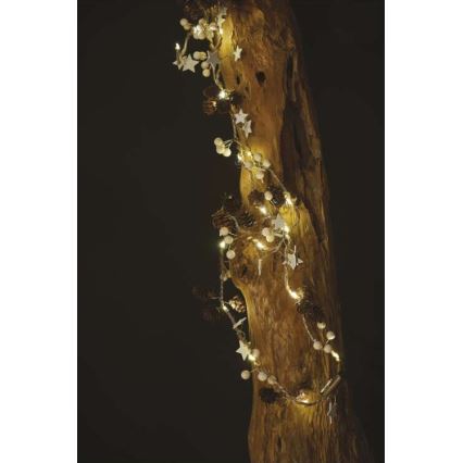 LED string 20xLED/2xAA 2m