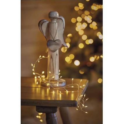LED string lights 100xLED/3xAA 2.7m warm white