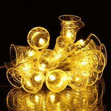 LED string lights 20xLED/3xAA/warm white 2.2 m bells