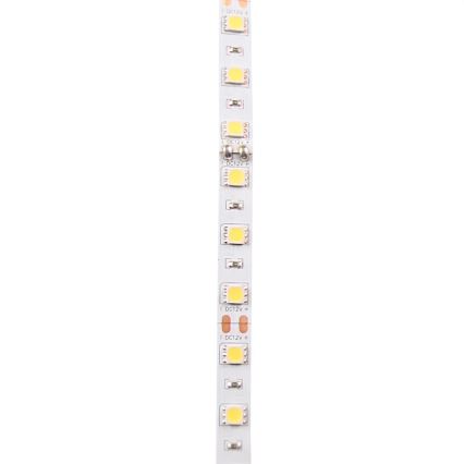 LED Strip 5m LED/10W/12V IP20 white