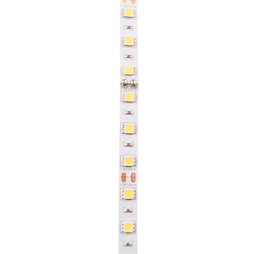 LED Strip 5m LED/10W/12V IP20 white