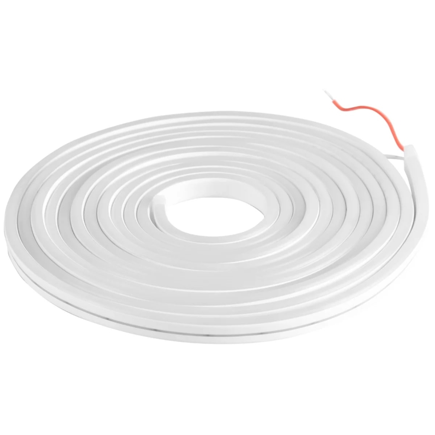 LED Strip NEON 5 m LED/27W/12V 4,000K IP65