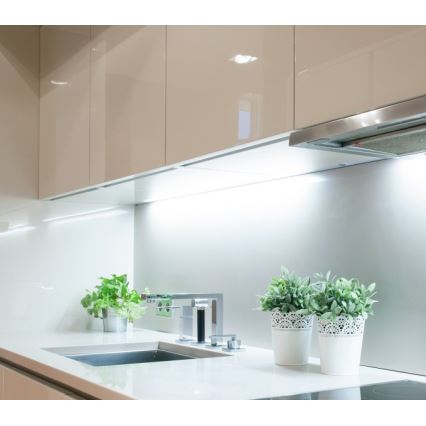 LED Strip TRAMO LED/500W/12V 50m 6500K