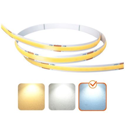 LED Strip TRAMO LED/500W/12V 50m 6500K