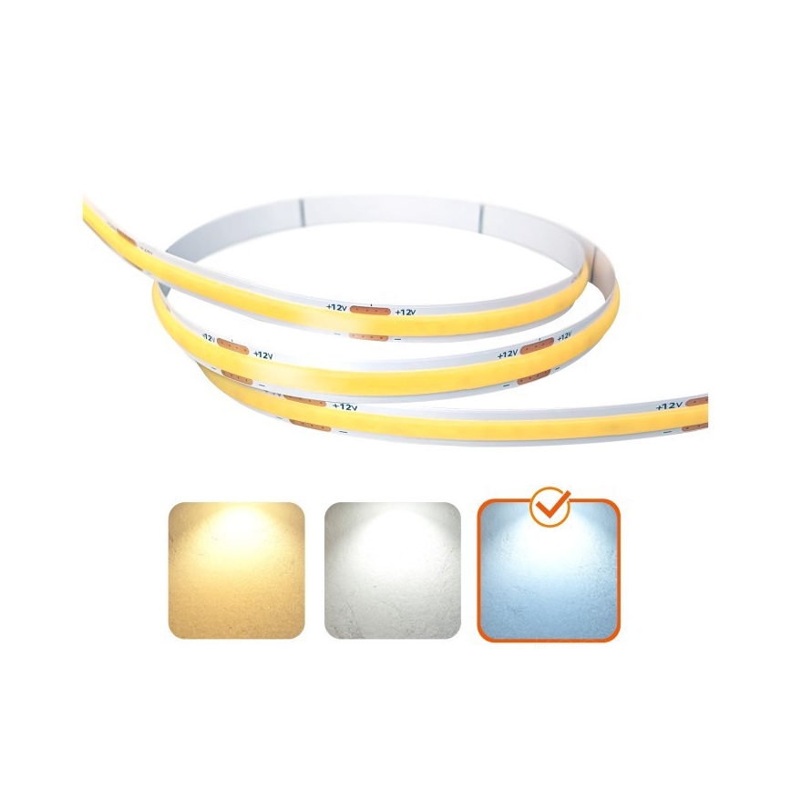 LED Strip TRAMO LED/500W/12V 50m 6500K