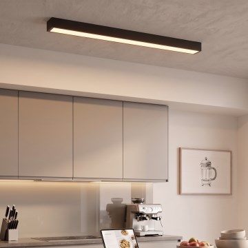 LED Surface-mounted / cable pendant LED/44W/230V 3000K 120 cm black