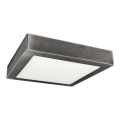 LED surface-mounted ceiling light FENIX LED/18W/230V 2800K 22,5 cm