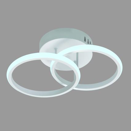 LED Surface-mounted chandelier BARI LED/20W/230V white