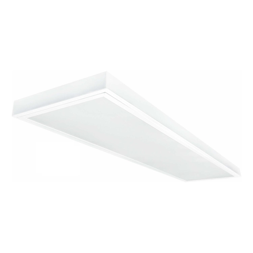LED Surface-mounted panel ILLY LED/36W/230V