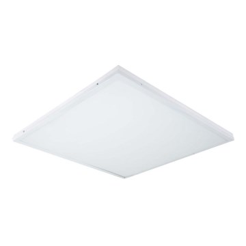 LED Surface-mounted panel ILLY LED/42W/230V