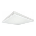 LED Surface-mounted panel ILLY LED/42W/230V