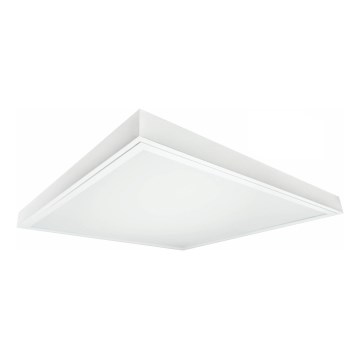 LED Surface-mounted panel ILLY LED/42W/230V