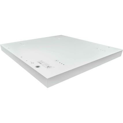 LED Surface-mounted panel ILLY LED/46W/230V