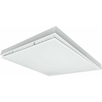 LED Surface-mounted panel ILLY LED/46W/230V