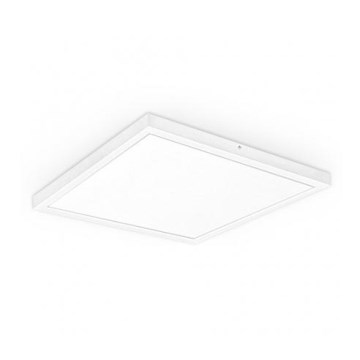 LED Surface-mounted panel XELENT LED/50W/230V 4000K IP40