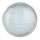 LED Swimming pool bulb LED/35W/12V IP68 6500K