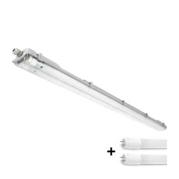 LED T8 Industrial Fluorescent Luminaire 2xG13/18W/230V 6500K IP65 127 cm