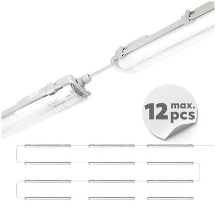 LED T8 Industrial Fluorescent Luminaire 2xG13/18W/230V 6500K IP65 127 cm