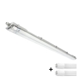 LED T8 Technical Luminaire 2xG13 / 18W / 230V / 4000K (Neutral White) / IP65 / 127 cm