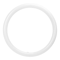 LED Tube Lamp G10q/20W/230V 4000K - Aigostar