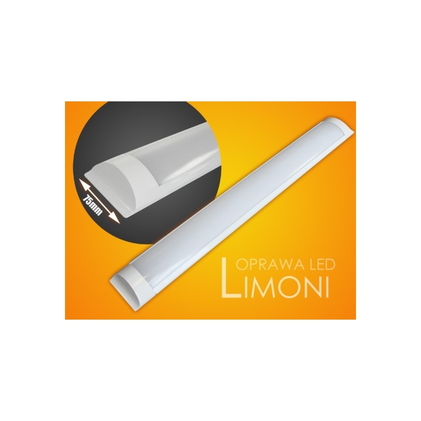 LED Under kitchen cabinet light LIMONI LED/40W/230V 3000K 120 cm