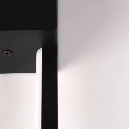 LED Wall Light AISHA LED/12W/230V 4000K 80 cm black