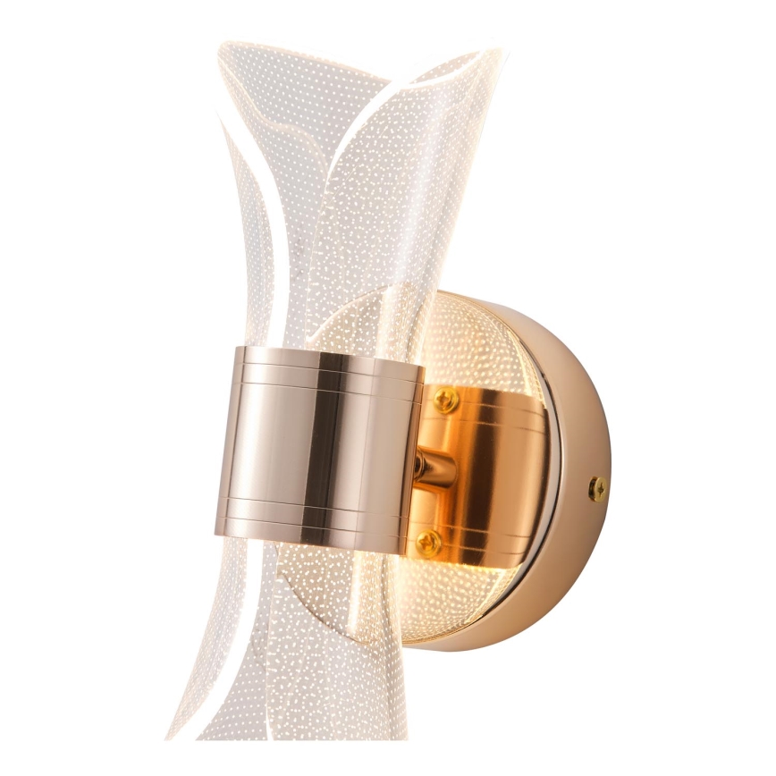 LED Wall light LED/8W/230V 3000K
