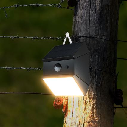 LED Wall-Mounted Solar Light with Sensor LED/2,5W/3,7V 3000/4000/6000K IP65 1200 mAh Black