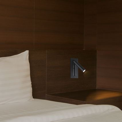 LED Wall-Mounted Spotlight LED/2W/230V 3000K Black