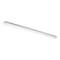 LED work fluorescent light NEGRO LED/36W/230V IP65 6000K
