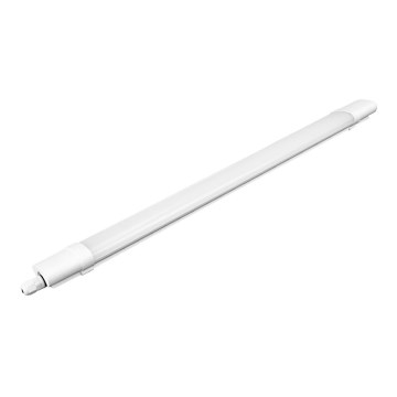 LED Work light LED/36W/230V IP65