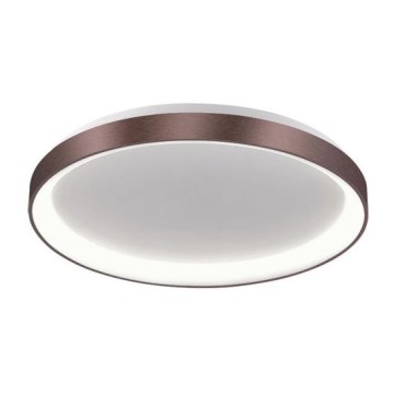 LED2 - LED Ceiling light BELLA LED/48W/230V 3000K/4000K brown