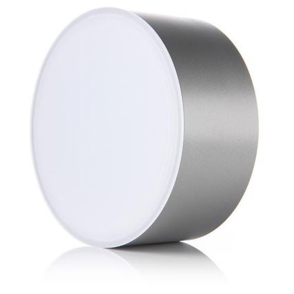 LED2 - LED Ceiling light BUTTON LED/17W/230V silver
