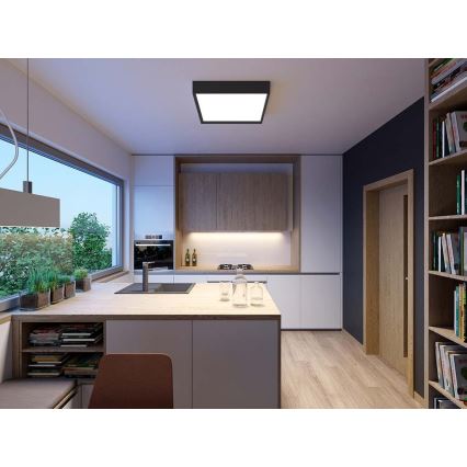 LED2 - LED Ceiling light MILO LED/30W/230V black 3000/4000K