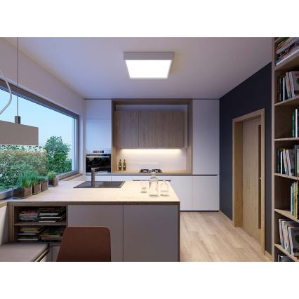 LED2 - LED Ceiling light MILO LED/30W/230V white 3000/4000K