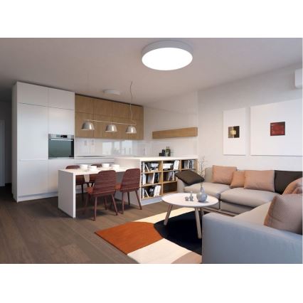 LED2 - LED Ceiling light MONO LED/60W/230V 3000/4000K white