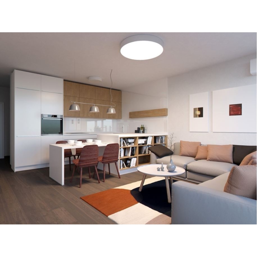 LED2 - LED Ceiling light MONO LED/60W/230V 3000/4000K white