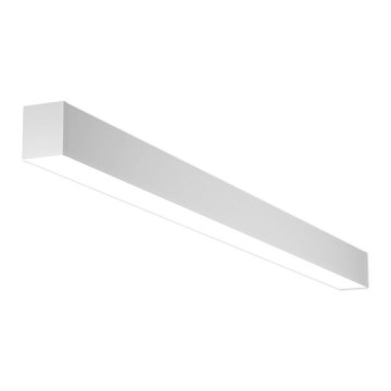 LED2 - LED Ceiling light NOLI LED/40W/230V 3000K/3500K/4000K white