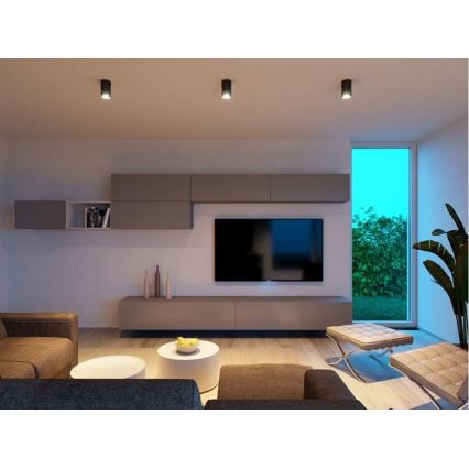 LED2 - LED Ceiling light TUBUS LED/9W/230V black