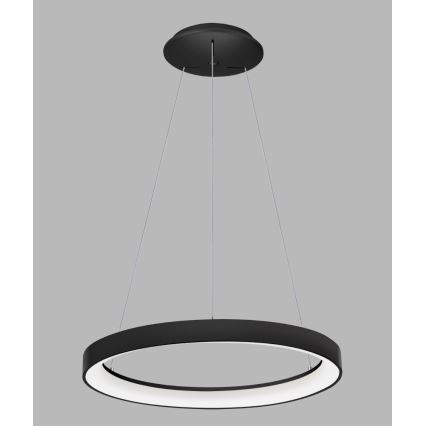 LED2 - LED Chandelier on a string BELLA LED/48W/230V 3000K/4000K black