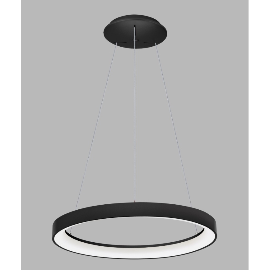 LED2 - LED Chandelier on a string BELLA LED/48W/230V 3000K/4000K black